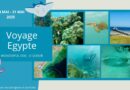 Voyage Egypte 2025